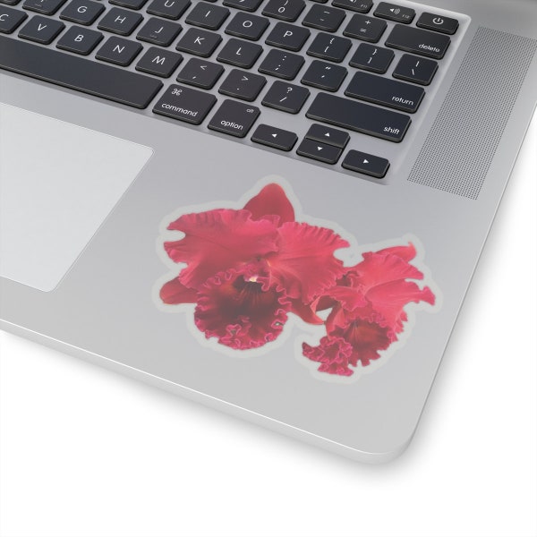 Deep Red Large Cattleya flowers Kiss-Cut Sticker. Great little present for Orchid Plant Parents. Use on Car, laptop, or notebook etc.