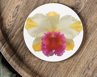 AUS: Yellow Flared Cattleya Orchid Flower Coasters. Home Decor Gift, Single or Set of Four. Bring a touch of glamour, color and nature home.