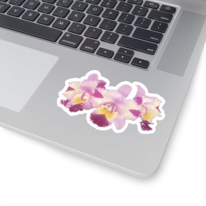 Splash-petalled Cattleya flowers Kiss-Cut Sticker. Świetny, mały, tani prezent dla rodziców roślin storczykowych. Używaj na samochodzie, laptopie, notatniku itp.