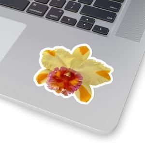 Gele, oranje en rode Cattleya hybride orchideebloemstickers. Woondecoraties, knutselen, cadeauverpakking, origineel zijn! Zoveel mogelijkheden.