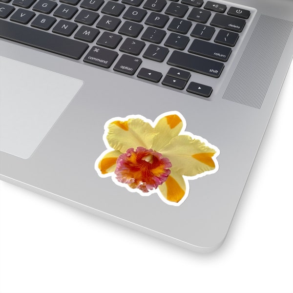 Yellow, Orange and Red Cattleya Hybrid Orchid Flower Stickers. Home Decor, Crafting, Gift Wrapping, Being Original! So Many Possibilities.