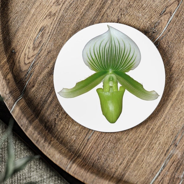 AUS: Green Paphiopedilum Orchid Flower Coasters. Home Decor Gift, Single or Set of Four. Bring a touch of glamour, color, and nature inside.