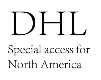 Special access for North America