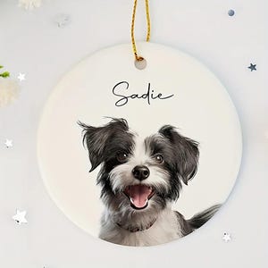 Personalized Pet Ornament, Custom Dog Christmas Ornament, Pet Memorial Ornament, Cat Christmas Photo Ornament, Pet Portrait Name Gift