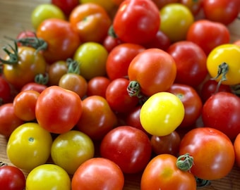 Mixed Cherry Tomato - Cherry Tomato Seeds