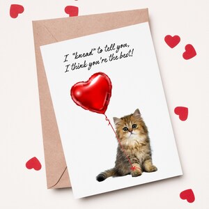 Cat Valentine card, friend card, Teacher Card, Teacher Valentine Cards