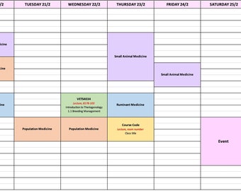 Uni-Semester Stundenplan