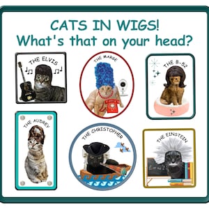 Wig Jokes Etsy
