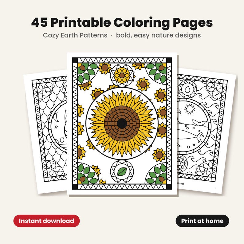 Printable Coloring Pages for Adults, 45 Bold and Easy Nature Designs, Large Print Mandala, Animal and Flower Coloring PDF, Instant Download image 1