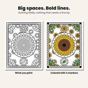 Printable Coloring Pages for Adults, 45 Bold and Easy Nature Designs, Large Print Mandala, Animal and Flower Coloring PDF, Instant Download image 3