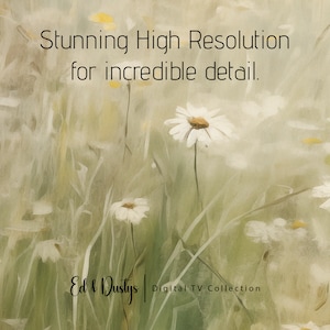 May include: A digital painting of a field of white daisies with a soft, green background. The text "Stunning High Resolution for incredible detail." is at the top of the image. The text "Ed & Dustys Digital TV Collection" is at the bottom of the image.