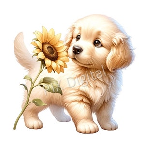 Gentle Golden Retriever-Digital Image PNG, Golden Retriever Clipart, High Quality PNGs, Digital Art png, DTF Transfer, Commercial Use