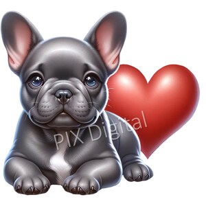 Peut inclure: Illustration numérique d'un chiot bouledogue français gris avec une poitrine blanche, couché à côté d'un grand cœur rouge. Le chiot a de grands yeux bleus et de grandes oreilles. L'image a un fond blanc.