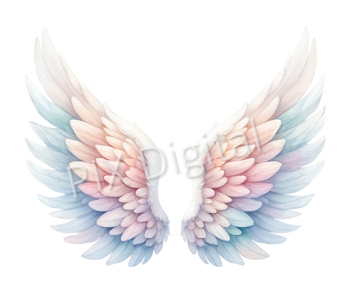 ◆25SS HUG YOUR SKIN Angel Wing Top/3色◆ Amazon.com: Touch of Nature Black Adult Angel Wings - 52