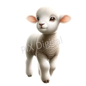 Peut inclure: Un agneau blanc aux oreilles brunes et au pelage blanc et duveteux se tient sur un fond blanc. L'agneau a une expression douce sur son visage et regarde le spectateur.