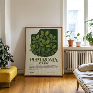 May include: A framed art print featuring a botanical illustration of a Peperomia Pixie Lime plant. The artwork showcases a cluster of green leaves against a dark green backdrop, with the plant's name and description in text below. The print is displayed in a room with natural light.