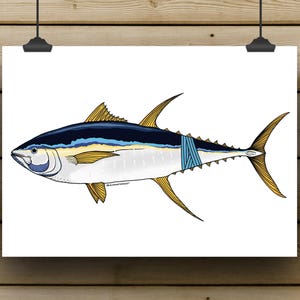 Yellowfin Tuna Print **PREORDER** // Hand-drawn Fishing Print, Fish Artwork, Wall Art, Fishing Decor, Fisherman Gift