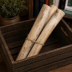 Aspen Log Bundle, Rustic Wood Decor, Natural Craft Logs, Farmhouse Wedding Centerpiece, Fireplace Display