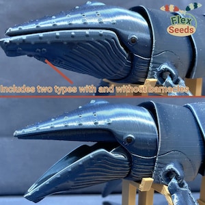 Puede incluir: Dos modelos de ballena azul impresos en 3D, uno con percebes y otro sin. Los modelos est&aacute;n en posici&oacute;n con la boca abierta, mostrando sus dientes. Los modelos est&aacute;n hechos por Flex Seeds.