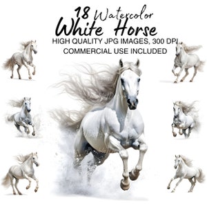 Imágenes prediseñadas de caballo, 18 JPG de alta calidad - Descarga digital - Fabricación de tarjetas, Imágenes prediseñadas, Artesanía de papel digital, Uso comercial - 4096x4096 píxeles