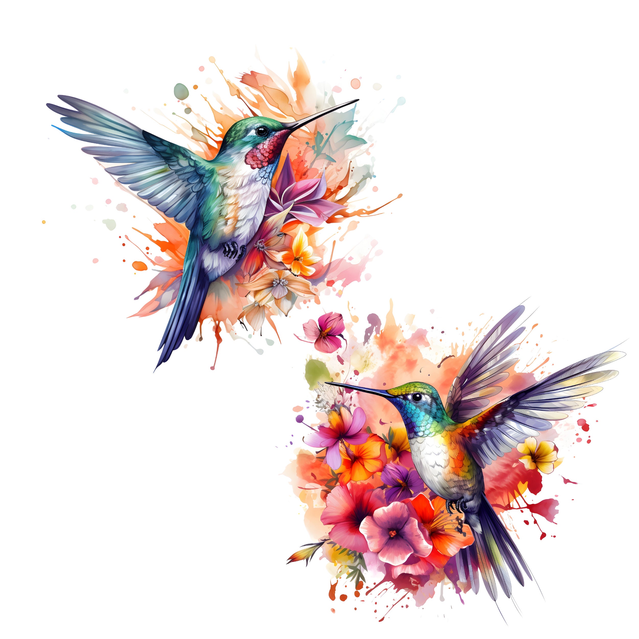 22 Color Hummingbird Clipart , Adorable Colibri, Printable Watercolor ...