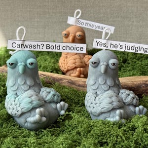 May include: Three bird-shaped ornaments with grumpy expressions sit on green moss. One is teal, one is brown, and one is grey. Each has a small sign that reads: "Carwash? Bold choice", "So this year", and "Yes, he's judging you".
