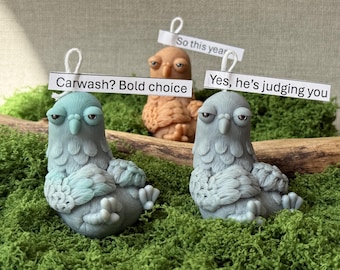May include: Three bird-shaped ornaments with grumpy expressions sit on green moss. One is teal, one is brown, and one is grey. Each has a small sign that reads: "Carwash? Bold choice", "So this year", and "Yes, he's judging you".