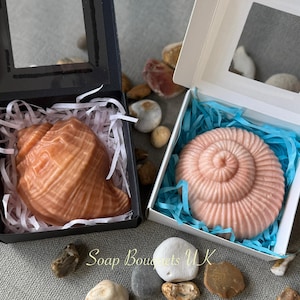 May include: Two gift boxes with clear lids, each containing a handmade soap shaped like a seashell. The soap in the left box is a light orange colour and the soap in the right box is a light pink colour. The boxes are sitting on a grey surface with small stones around them. The text "Soap Bouquets UK" is visible on the surface.