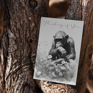 Può includere: Un biglietto di auguri in bianco e nero con un disegno di uno scimpanzé seduto in un campo di fiori. Il biglietto recita "Thinking of You".