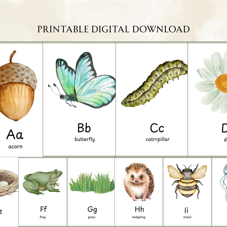 Nature Alphabet Flashcards A-Z | Watercolour ABC Cards for Kids ...