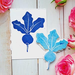 Rettich Stempel, Gemüsebeanie, Gemüsebeet