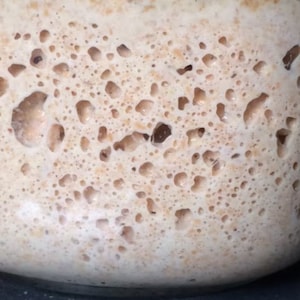 Starter, Organic Whole Wheat Sourdough Starter: Artisan Bread Baking