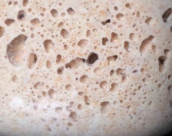 Masa madre de trigo integral orgánica viva: Panificación artesanal