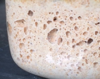 Whole Wheat Sourdough Starter, Wheat Sourdough bread starter, Bake bread at home starter, Whole wheat Bread