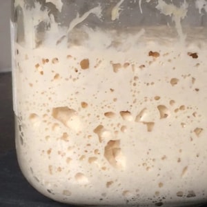 French Sourdough Starter: White & Whole Wheat Bread, Organic Sourdough