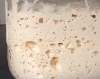 Masa madre francesa: pan blanco e integral, masa madre orgánica viva