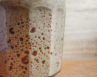 Organic Rye Sourdough Starter, Active & Fresh, Baking Bread, Pizza, Pancakes