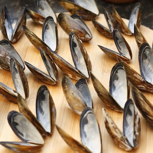 May include: An overhead shot of numerous empty mussel shells arranged on a round wooden cutting board. The shells are brown and tan on the outside, with a pearlescent interior. The board has a light wood grain.