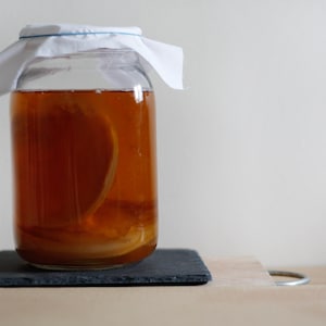 Kombucha, Bio-Kombucha Starter Tee mit Scoby Stücken