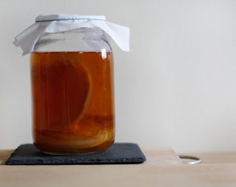 Kombucha, té orgánico para iniciar kombucha con trozos de scoby