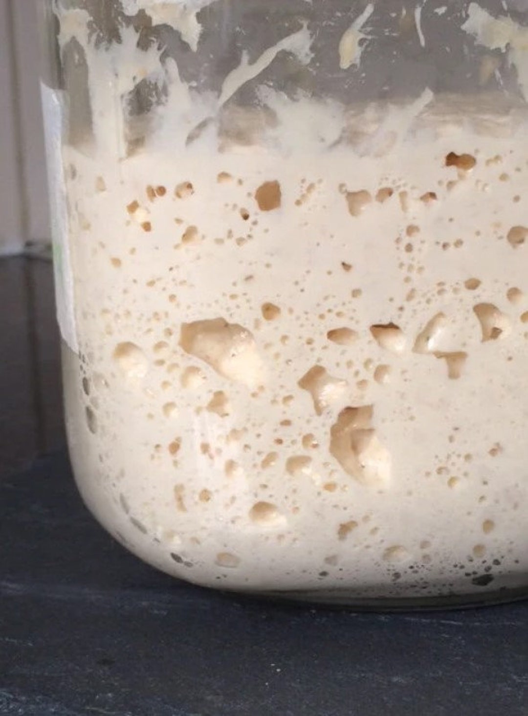 French Wheat Sourdough Starter for Baking White Bread, Whole Wheat