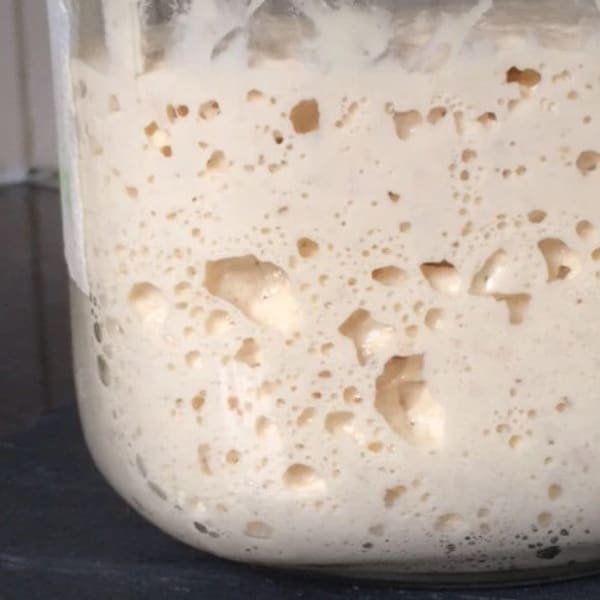 French Wheat Sourdough Starter for baking white bread, Whole Wheat Sourdough bread starter Bake bread at home starter Whole wheat Bread