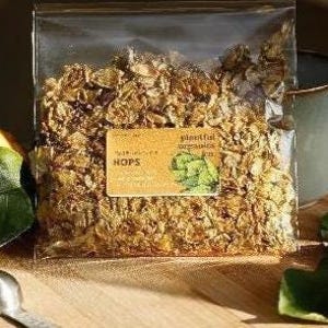 Lúpulo, flor de lúpulo natural: infusión de hierbas para la noche, antiinflamatoria