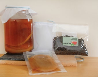 KIT Super Kombucha | Scoby, thé, cassonade, sachet de thé + mode d'emploi | Scoby de démarrage biologique au kombucha, kit kombucha, kit de bricolage à la maison