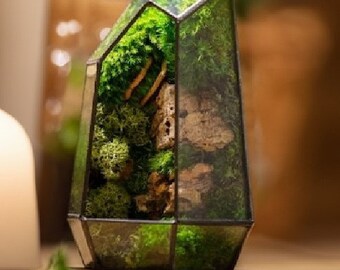 Geometric Terrarium | Prism | Desktop Mossarium Centrepiece | Preserved Moss Art Terrarium | Crafts for Adults