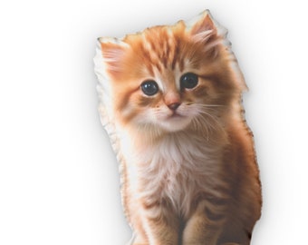 Coussin pour chaton mignon