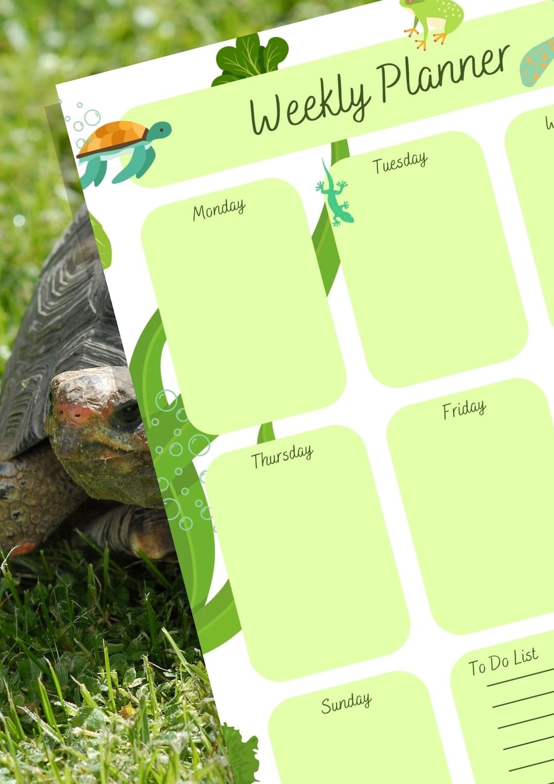Weekly Planner TURTLES FRIENDS printable - Etsy
