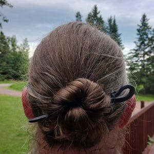 May include: A black metal hair stick secures a bun of brown and gray hair. The hair is styled in a low bun, with the stick inserted horizontally. The background shows a cloudy sky and green trees.