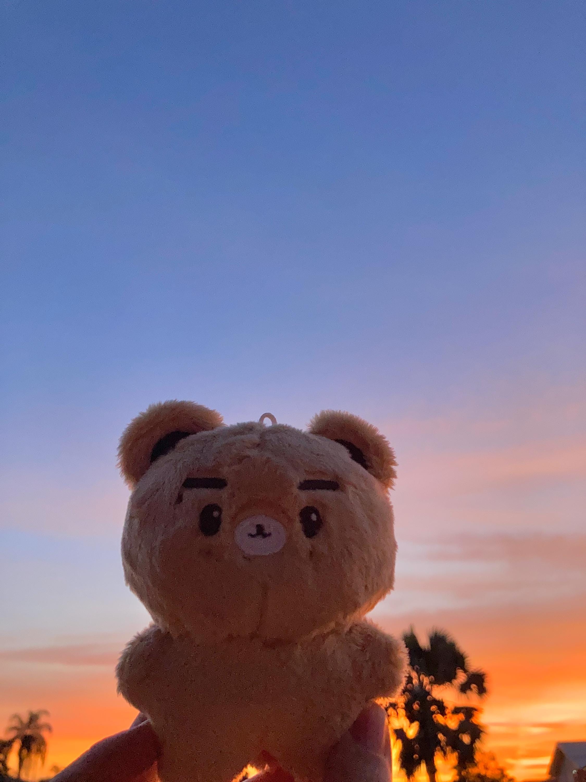 Kungii Bear 2.0 ~ NCT WAYV Kun 10cm Doll - Etsy
