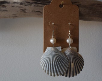 Scallop Shell Earrings with Pearls